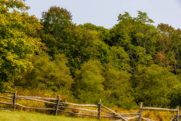 istock Grayson Highlands State Park in Virginia, USA 1345181293