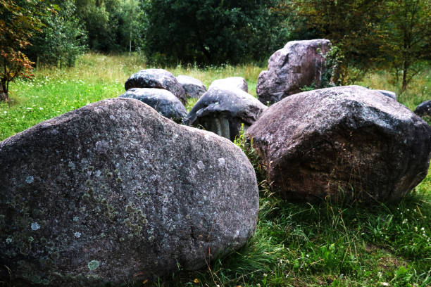 istock pathway or footpath in the park or forest and the stones along it 1345183020