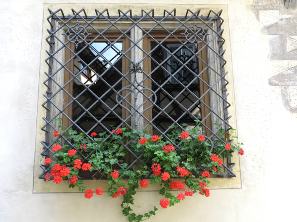 Old window with iron grid decorated with red geranium flowers