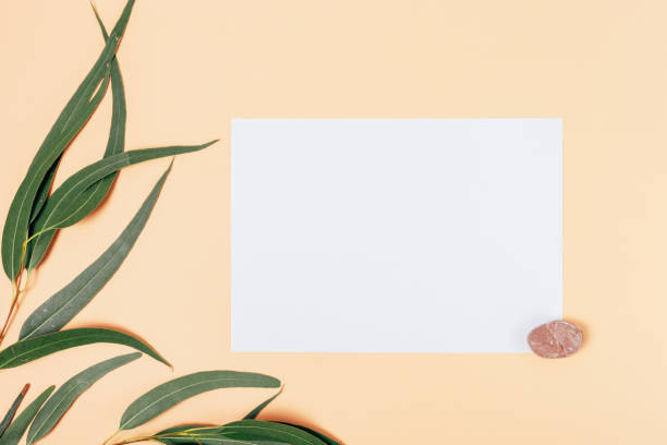 istock White blank card mockup with stone 1345186279