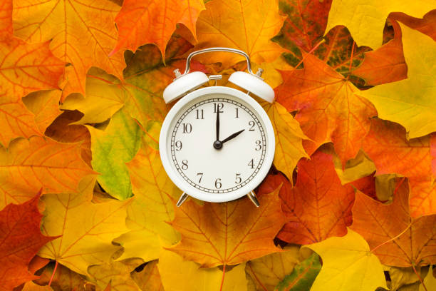 istock White alarm clock on colorful maple leaves background. Closeup. Time change concept. Top down view. 1345186590