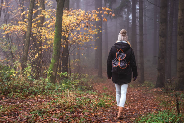 istock Woman hiking in autumn forest 1345192628