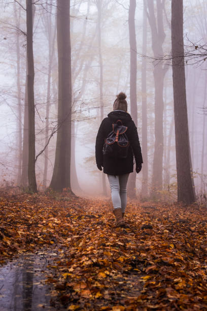 istock Female hiker in mystery forest 1345192671