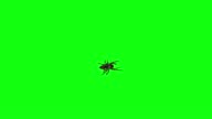 istock Spider walking on green background. 3D spider walking halloween concept idea 1345192701