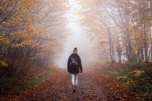 Woman hiking on footpath in autumn forest