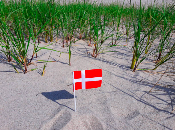 A small danish flag in the sand and among high grass