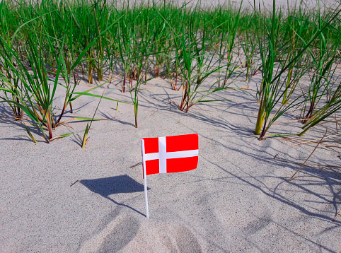Small danish flag in the sand and among high grass. Location: the beach at Nykøbing Sjælland.