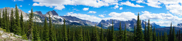 istock Glacial Mountain Peak And Treeline 1345194089