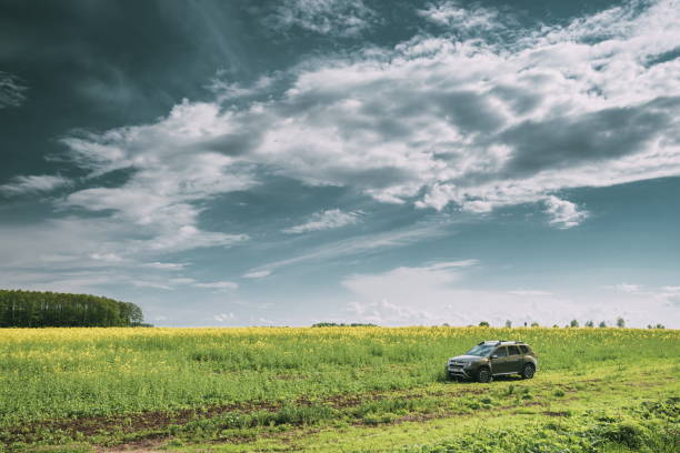 Green fields under cloudy sky on sunny day