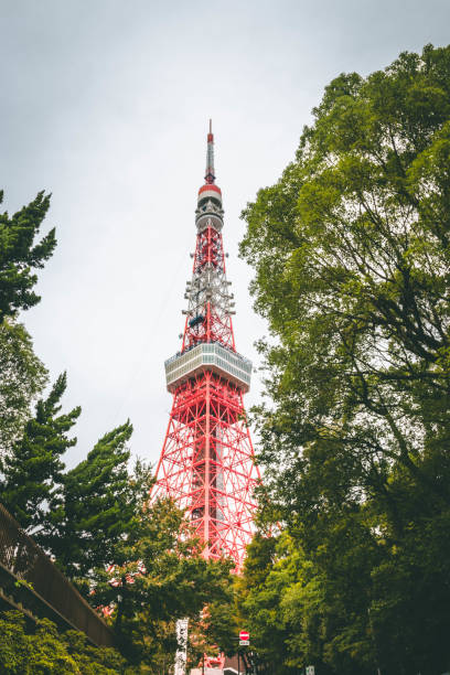 istock Tpkyo - The largest city in Japan 1345195313