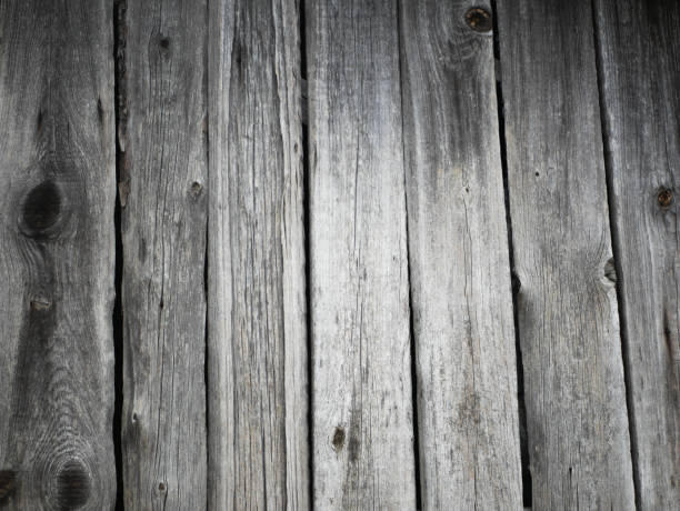 istock Gray wooden background with old painted boards 1345196600