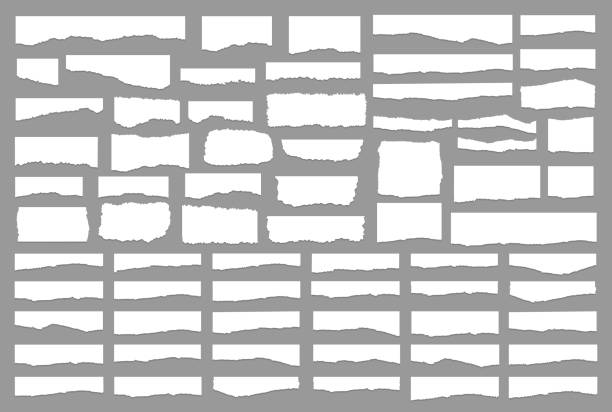 ilustrações de stock, clip art, desenhos animados e ícones de set of pieces of white torn paper, isolated on grey background. vector illustration - rough edges