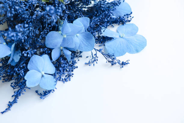 istock original bouquet of blue flowers on a white background and space for text. 1345198325
