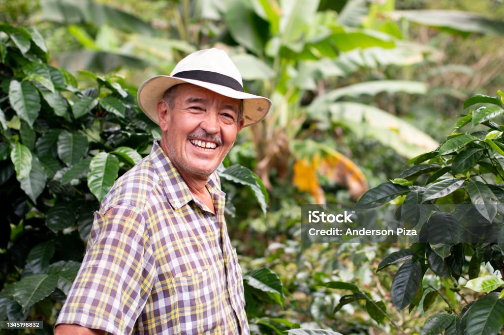 Portrait of a smiling senior farmer. Coffee farmer wearing hat. Happy old man in a Colombian coffee crop. Farmer Stock Photo
