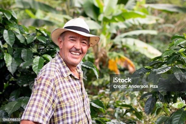 Portrait Of A Smiling Senior Farmer Coffee Farmer Wearing Hat Happy Old Man In A Colombian Coffee Crop Stock Photo - Download Image Now