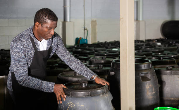 istock Worker stacking plastic barrels of pickled olives 1345199706