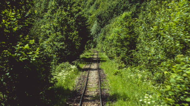 istock Mocanita - Maramures - Romania 1345200114