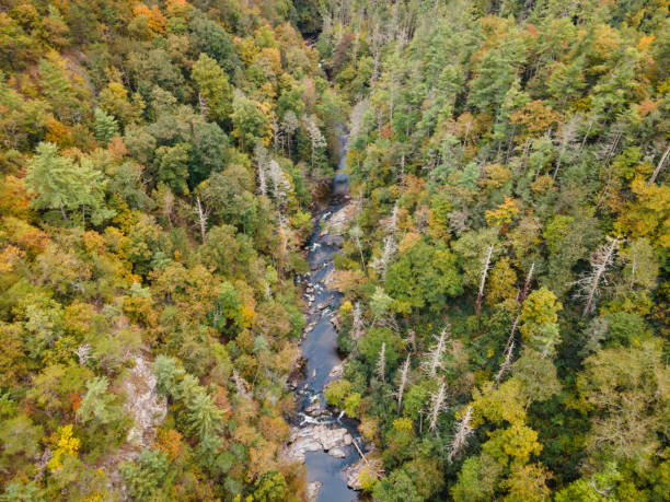 вид с воздуха на ущелье реки в западной части северной каролины осенью - north carolina mountain river autumn стоковые фото и изображения