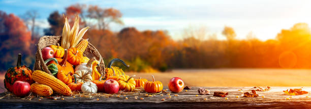 calabazas, manzanas y maíz en la mesa de cosecha - noviembre fotos fotografías e imágenes de stock