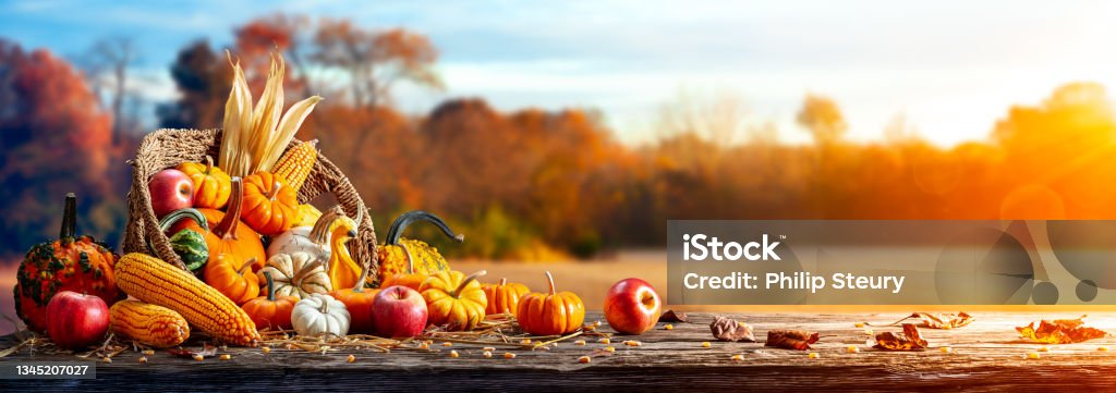 Pumpkins, Apples And Corn On Harvest Table Basket Of Pumpkins, Apples And Corn On Harvest Table With Field Trees And Sky Background - Thanksgiving Thanksgiving - Holiday Stock Photo