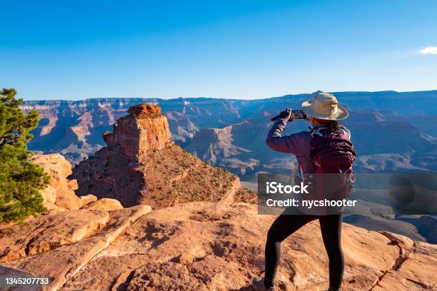 Scenic View Of The South Rim Of The Grand Canyon Stock Photo - Download Image Now - Grand Canyon National Park, Grand Canyon, Senior Adult