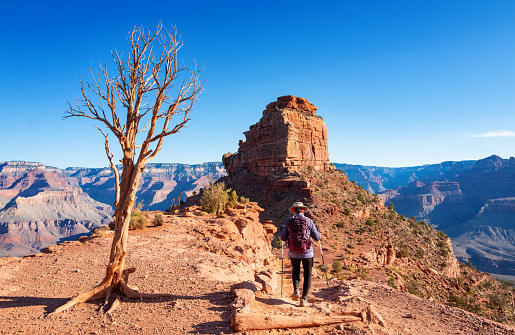 rear view of female hiking scenic Kaibab trail in the Grand Canyon National park on a chilly April morning.
