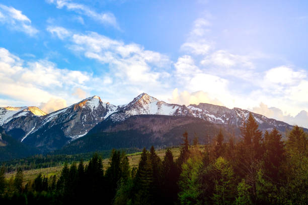 istock Green forest mountain at sunset with sun. 1345209680