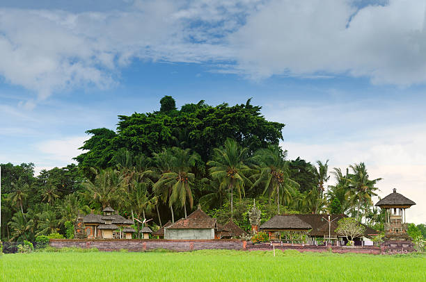 istock Indonesia, Bali, Traditional village 134521375