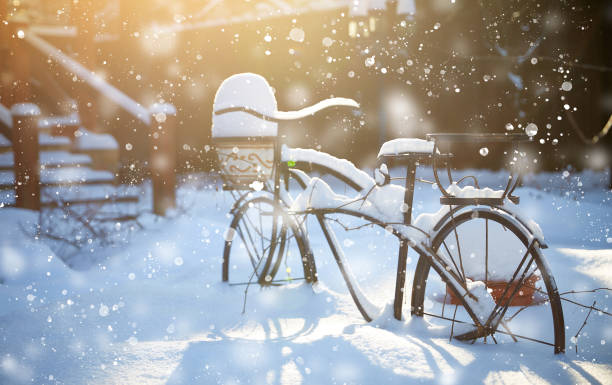 support de vélo vintage pour plantes en pot. paysage d’hiver avec une belle lumière du soleil - bicycle ornamental garden flower formal garden photos et images de collection