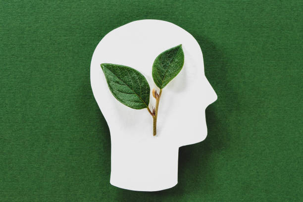 istock Green leaves inside head, sustainable living, think ecology 1345220252