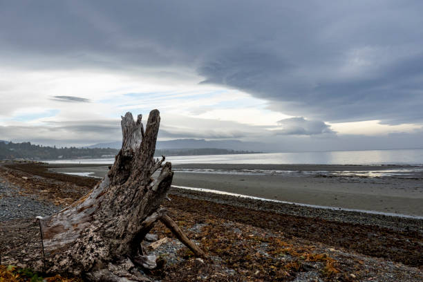 istock Rathtrevor Beach Provincial Park 1345223952