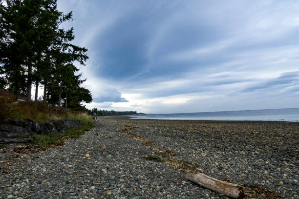 istock Rathtrevor Beach Provincial Park 1345224591