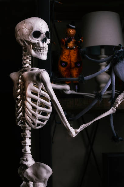 istock Halloween skeleton decorating a home for the holiday 1345226395
