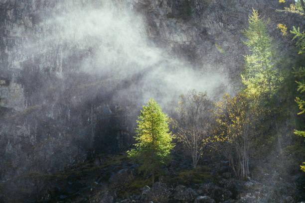 paysage lumineux avec nuage d’eau de gouttes de cascade sur fond de mur de montagne rocheuse avec des arbres d’automne en plein soleil. beau nuage d’eau près de la roche au-dessus des arbres jaunes sous un soleil doré - waterfall rock mountain bright photos et images de collection