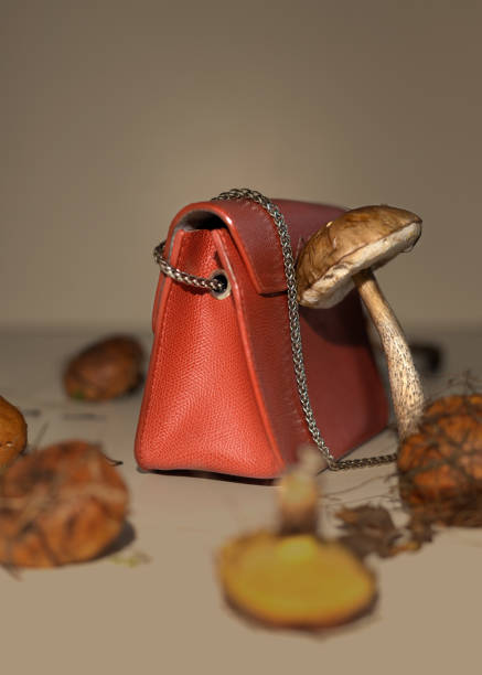 Mycelium leather bags are eco-friendly alternative to leather. Made from fungal spores and plant fibers. Mycelium leather bags are eco-friendly alternative to leather. Made from fungal spores and plant fibers. Innovative materials for mushroom textiles. Eco Biodegradable Vegan Leather hypha stock pictures, royalty-free photos & images