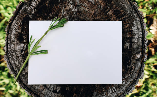 istock Blank greeting paper card on wooden log 1345228665