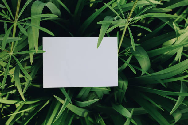istock Blank paper postcard lay on green leaves 1345228682
