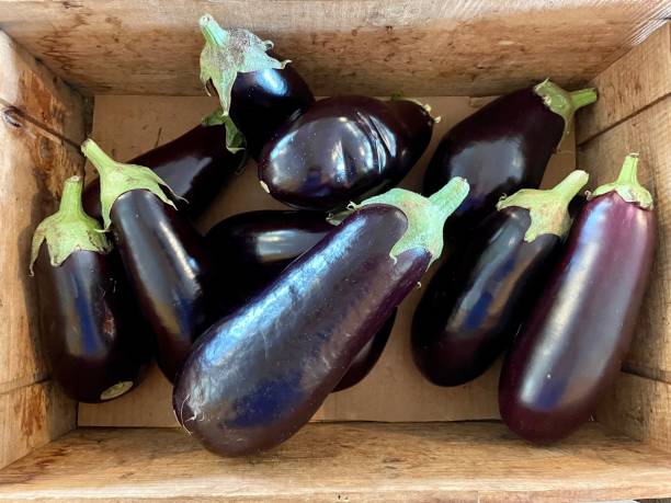 istock Eggplant Vegetable - Produce Ingredient 1345229732