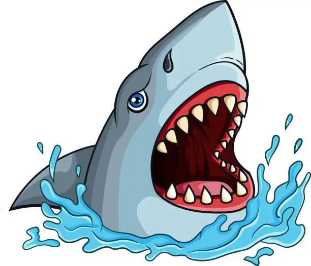 Vector illustration of Cartoon shark with open jaws