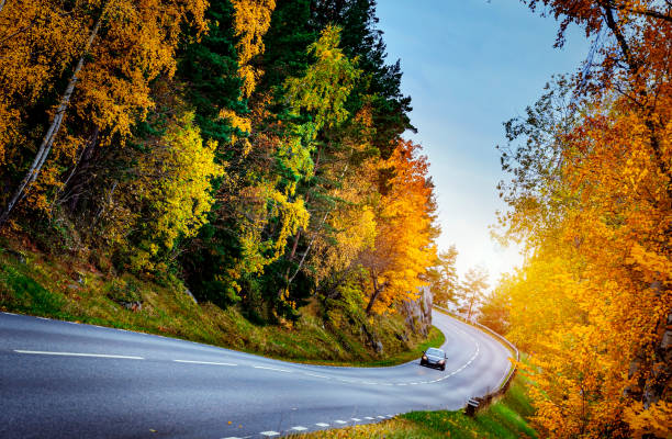 istock Asphalt road with autumn foliage in Sweden 1345231253