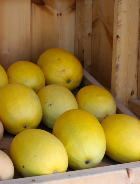 istock Spaghetti Squash farm fresh at roadside produce stand 1345232797