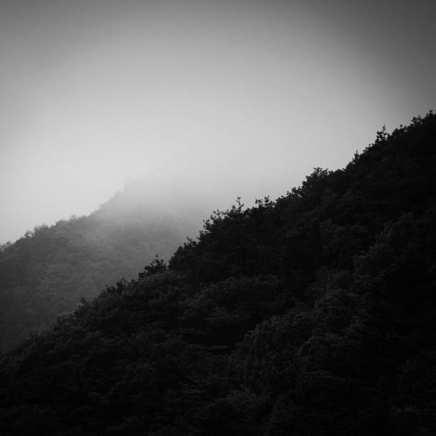 черно-белый вид на горные деревья в тумане на закате, префектура яманаси, япония - black and white landscape square long exposure стоковые фото и изображения