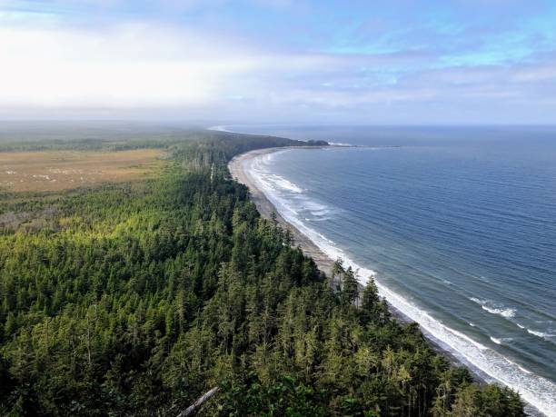 A beautiful view from high above of the coastline and sandy beaches of the north beach, atop tow hill, with endless ocean and coastline, in Haida Gwaii, British Columbia, Canada stock photo