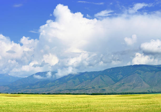 istock Uymon Valley in the Altai Mountains 1345234857