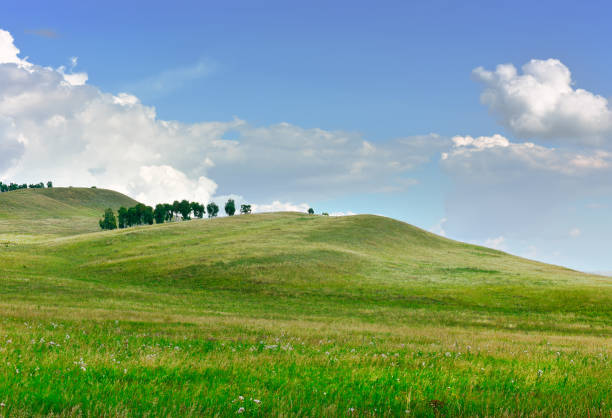 istock The green hills of Khakassia 1345234904