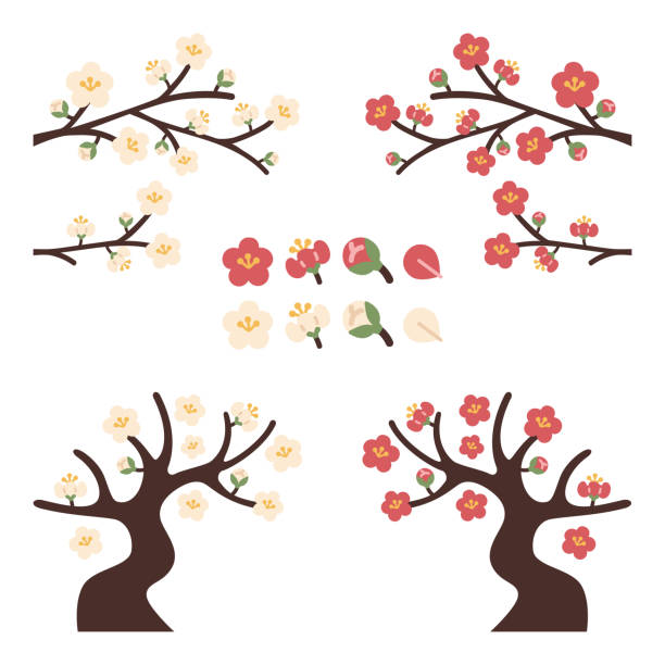 plum tree and flower material illustration set - 梅樹開花 幅插畫檔、美工圖案、卡通及圖標