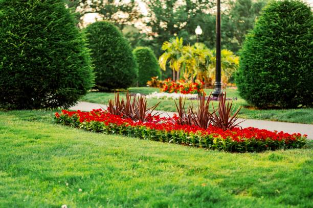 istock Boston, MA public garden 1345249250
