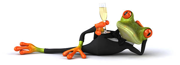 rana e champagne - frog three dimensional shape animal green foto e immagini stock