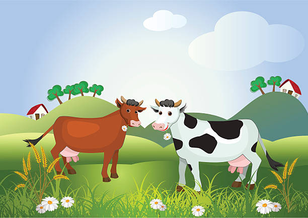 Cows on meadow fields Cows on meadow fields with flowers herd of cows stock illustrations