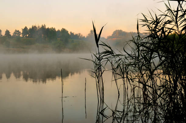 istock Misty haze on the river in the morning 1345255767
